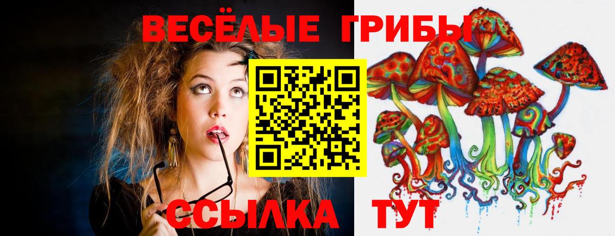 Псилоцибиновые грибы Cubensis Тамбов