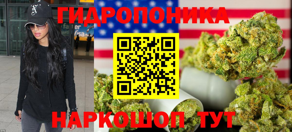 Бошки марихуана ГИДРОПОН Тамбов